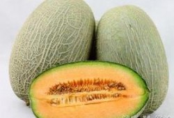血尿酸可以吃哈密瓜吗,哈密瓜的适宜摄入分析