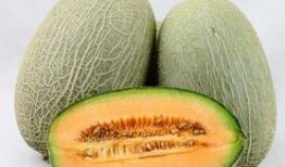 血尿酸可以吃哈密瓜吗,哈密瓜的适宜摄入分析