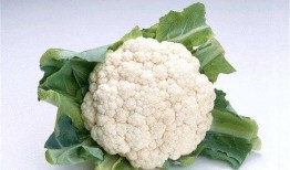 菜花艾滋吃瓜,吃瓜群众如何应对网络谣言