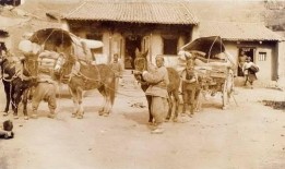 会宁县吃瓜事件始末,一场网络热议背后的真相与反思