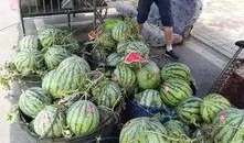 太原网红吃瓜事件,揭秘网络舆论的风暴与真相