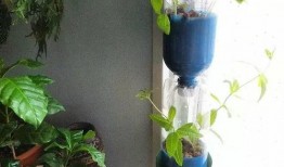 爬窗台吃瓜,爬窗台吃瓜的奇妙体验