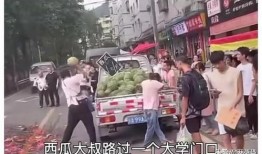 吃瓜讹人小说,吃瓜者的意外复仇之旅