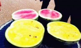 腾冲吃瓜爆料,揭秘当地热点事件背后的真相