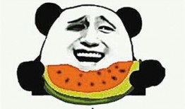 吃瓜吃什么意思,揭秘“吃瓜”背后的趣味与内涵