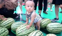 吃瓜视频汇总,盘点娱乐圈最新热点事件