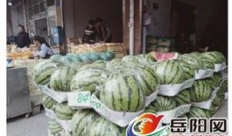 吃瓜群众水果店吃瓜,吃瓜群众水果店里的欢乐时光