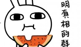 吃瓜头像的视频,笑料百出，趣味横生