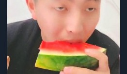 小扬爸吃瓜,小扬爸的瓜田奇遇记