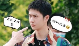 罗西吃瓜,揭秘娱乐圈背后的秘密与真相