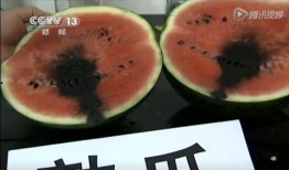 鸡泽吃瓜视频,揭秘乡村生活趣味瞬间