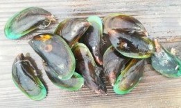 岱嵩吃瓜,揭秘娱乐圈幕后故事