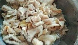 肠子吃瓜,揭秘肠道健康与美味瓜果的奇妙关系