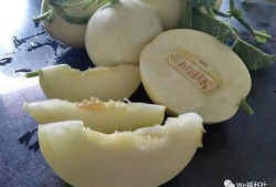 九围吃瓜,揭秘吃瓜群众的狂欢盛宴