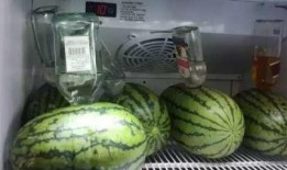 吃瓜心,吃瓜心带你领略明星幕后故事