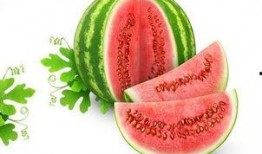 星线网络吃瓜,揭秘娱乐圈背后的吃瓜真相