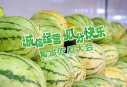 喜悦吃瓜,揭秘快乐背后的秘密