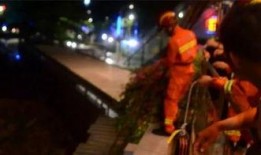 喝醉吃瓜,一场别开生面的醉酒吃瓜盛宴