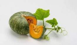 女子带瓜吃,女子带瓜吃，共享夏日清凉时光