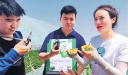 中国邮政吃瓜,吃瓜群众眼中的“快递帝国”