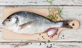 吃八瓜鱼足,一场味蕾的奇幻之旅