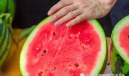 云南学院吃瓜,吃瓜群众揭秘校园美食风云