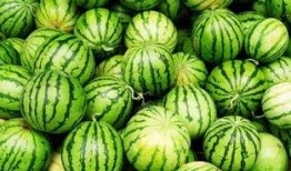 夏天吃瓜的方式,瓜果飘香，尽享清凉时光