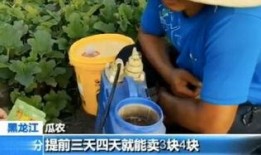 嘎嘎吃瓜女,揭秘网络热议背后的真相与趣味