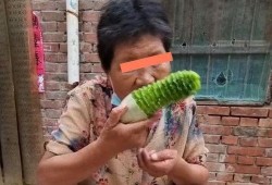 贾婆婆吃瓜全集,揭秘娱乐圈背后的秘密与笑料