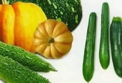 吃瓜大胡子,揭秘娱乐圈背后的那些事儿