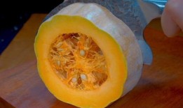 吃滴水瓜直播,滴水瓜的独特魅力与种植技巧