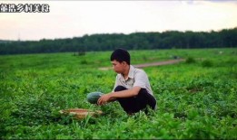 雨后吃瓜行吗,一场别具风味的夏日食趣之旅