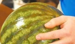 晴沫吃瓜,揭秘娱乐圈那些不为人知的幕后故事