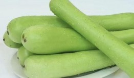 一月吃瓜二月吃瓜