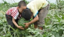 宜兴河边吃瓜事件,一场引发热议的街头冲突瞬间