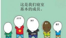 寝室吃瓜挑战话题,揭秘校园里的趣味生活圈