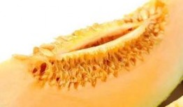 吃胃药能吃蜜瓜吗,食用禁忌与注意事项