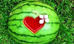 梦见吃希瓜,揭秘吃希瓜的神秘寓意