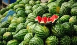 箶瓜怎么吃,解锁美味新体验