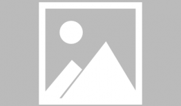 伽罗吃瓜图,揭秘网络红人的趣味瞬间