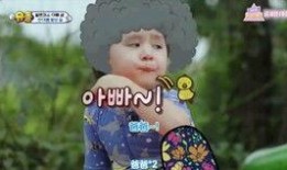 秃秃秃吃瓜,揭秘娱乐圈的“秃”闻趣事