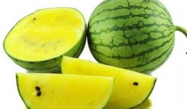 夏语之心吃瓜,揭秘瓜界新宠的甜蜜诱惑