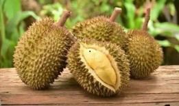 八百万粉丝吃瓜