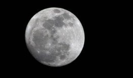 大月亮晚上吃瓜,瓜香四溢的夜晚盛宴