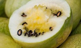 吃瓜心,吃瓜心带你领略明星幕后故事