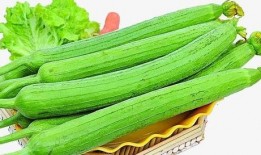 天天吃瓜专用,天天吃瓜，揭秘明星幕后故事