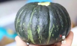 宝宝吃贝贝瓜牌子好吗,宝宝食用佳选，品质与营养的双重保障