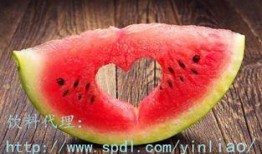 羊吃老瓜,一场生态循环的田园交响曲