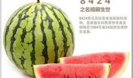 中国.吃瓜朝阳,网络热点的幕后故事