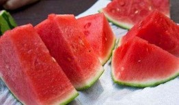 吃瓜无骨家族,一场跨越时代的美食传奇